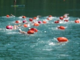 Samedi 11 juillet  Eau libre sur le lac de Nantua  à partir du Club de Voile