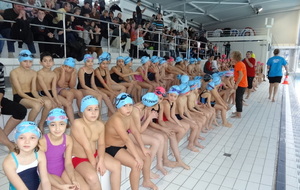 INTRACLUB ECOLE DE NATATION