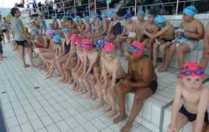 INTRACLUB N°2 ECOLE DE NATATION