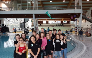 CHAMPIONNATS DE ZONE 18-19novembre SEYNOD