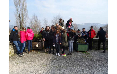 NATATHLON BENJAMINS PLOT N°2  13-03-2016  BELLEY