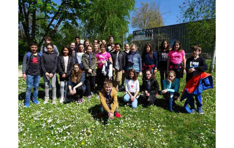 NATATHLON JEUNES PLOT N°3