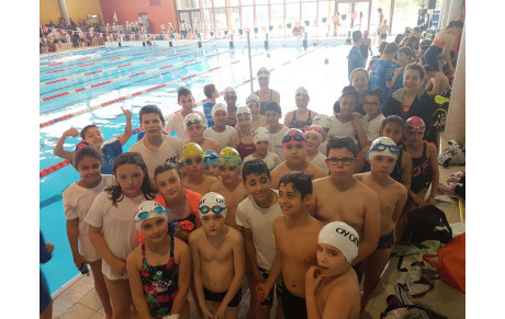 PLOTS N°4  JEUNES + AVENIRS